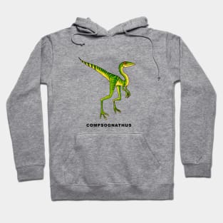 Compsognathus Hoodie